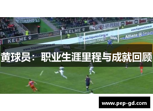 黄球员：职业生涯里程与成就回顾